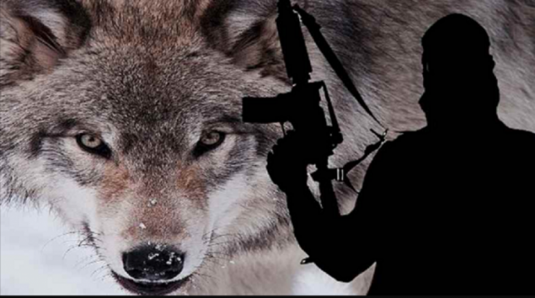 Apa Itu Aksi Teror Lone Wolf?